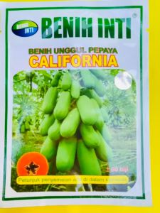 Benih Pepaya CALIFORNIA kemasan 60 biji dari Benih Inti MANTAB