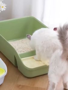 Large Capacity Cat Litter Box: A Comprehensive Guide