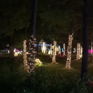 Đèn Led Nhấp Nháy Size 4M / 7M LE01LE02 Trang Trí Noel Trang Trí Tiệc TTNTSS106