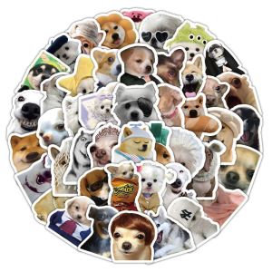 Lebi trang trí Kitten Bộ Nhãn Dán 60 lý tưởng cho máy tính xách tay bàn làm việc và nhiều hơn nữa