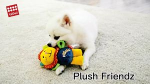 GiGwi Đồ chơi thú nhồi bông chút chít cho chó Plush Friendz – Đen Ta pet shop