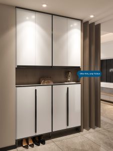 Ultra Thin Top-to-Bottom Entrance Shoe Cabinet