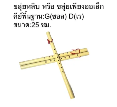 ขลุ่ยเพียงออ PVC พลาสติก ลายไม้ ขลุ่ยเพียงออเล็ก ขลุ่ยหลิบ และ ขลุ่ยรีคอร์เดอร์