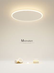 Modern Simple Creative LED Ceiling Light