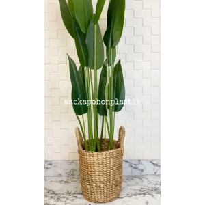 Pohon Hias Daun Pisangan Heliconia T120 Latex Artificial Pot Dasar Hitam Plastik Cover Eceng Gondok Handle Dekorasi Pajangan Ruangan Rumah Aesthetic