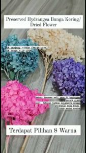 1 PACK Preserved Hydrangea Bunga Kering/ Dried Flower A016