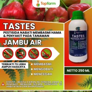 Obat Ulat Daun Jambu Air / Obat Hama Tanaman Jambu Air / Obat Hama Ulat Buah Jambu Air / Obat Hama Daun Jambu Air / Obat Untuk Hama Buah Jambu Air