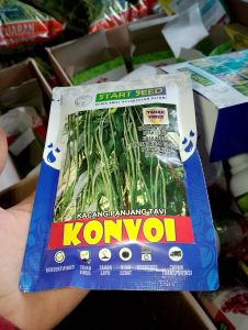 Benih Kacang Panjang TAVI KONVOI 100gram tahan bule START SEED