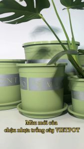 Chậu Nhựa Trồng Cây VIETPOT xanh Mint MONTARIO kiểng lá hoa hồng để bàn ban công sân vườn