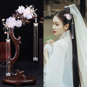 Antique Hair Accessories Dragonfly a Pair of Hairclips Fairy Tassel Hairpin Kids Ancient Rhyme Han Dynasty Costume Headdress Xiuhe Clothing Photo