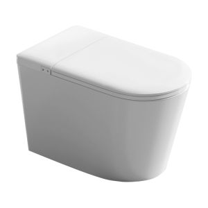 TEM | Induction Flip Seat Silent Flush Intelligent Toilet
