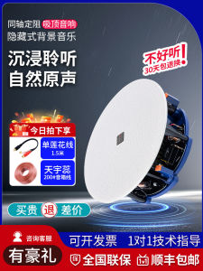 Hikvision Ceiling Mount Speaker Set for Meeting Room Sound Amplification Fixed Impedance Bass Stereo Wireless Bluetooth Speakers