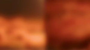 Tefal 15L Easy Fry Multifunctional Air Fryer & Oven FW556