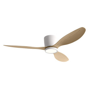 QIANQI | High Airflow Variable Frequency Ceiling Fan Light
