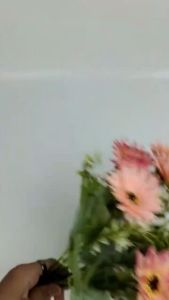 Bunga Aster Holland Cabang 7 Daisy Flower Artificial Bunga Buket Flower for Hand Bucket Imitasi kain untuk Hiasan Kamar Cafe dekorasi Rumah dan Wedding atau Dekorasi Pelaminan Import artificial palsu kain premium termurah