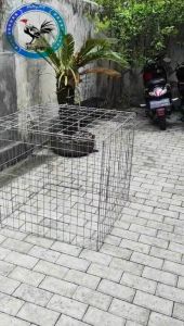 Kandang Galvanis / kurungan ayam galvanis kotak 80x80x80 cm