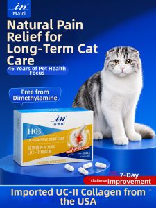 in plus | Joint Protection Supplement for Cats