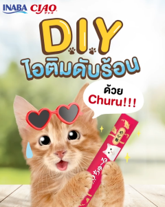 CIAO Chu-ru ขนมแมวเลีย เชา ชูหรุ ไม่เติมเกลือ ปราศจากสารเติมแต่ง แพ็ค 4ซอง
