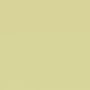 SOREX BRA AB058 SEAMLESS TANPA KAWAT BUSA SEDANG KAIT 3 CUP B