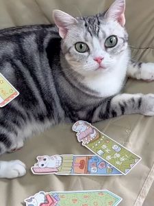 Bookmark 30Pcs/Set Funny Cats/Rabbits Fashion Books Marker of Page Best Wishes Gift