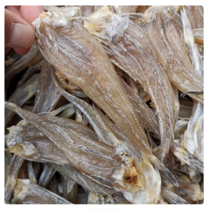 1kg Khô Cá Chay(Cá Chai Biển) Vị Mặn Vừa Ăn Thơm Mới Thịt Chắc Làm Món Kho Siêu Ngon- VỰA KHÔ MINH TRIẾT