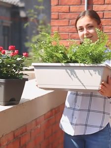 Pots Flowers And Vegetables Flower Pot For Gardening Home Decoration Rectangular Plant pot