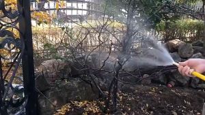 TUKUO  Nozzle Semprotan Kuningan 5/8” Tipe Lurus – Nozzle Kuningan Ukuran 5/8” Semprotan Untuk Selang Sray Putar Kuningan 5/8” Nozzle Taman Cuci Mobil Kepala Semprotan Adjustable