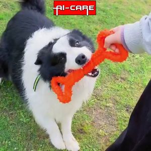 (READY STOCK) Heavy Duty Aggressive Pet Bite Toy Good Quality Bone Shape Dog Chew Toy Stick