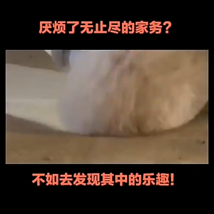 COD TaffHOME Set Sikat Kamar Mandi WC Elektrik Gagang Panjang Multifungsi Hurricane Spin Scrubber Tools WQ8111