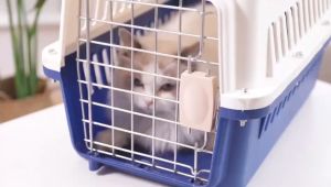 Lồng Hàng Không 66x46x46cm Dành Dành Cho Pet Dưới 20kg Lồng Vận Chuyển Thú Cưng Đi Xa Tiện Lợi