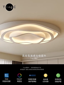 Nordic Chandelier Ceiling Light For Living Room Bedroom Pendant Lights Dining Modern Cieling Lamps 3Color Center Light