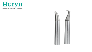 HORYN Dental Air Flow Polisher Handpiece 2 Heads Subgingival & Supragingival Teeth Cleaning Stain Removal Polishing Sandblasting Nozzle