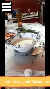 ไล่แมลงวัน กำจัดแมลงวัน เห็นผลเร็ว คงทน ใช้สะดวก แขวนได้ทุกที่ กลิ่นระเหยไปอย่างช้ ไล่แมลงวัน ไล่แมลงหวี่ แมลงหวี่ 150g ขนาดเล็กและพกพา ดักแมลงวัน กําจัดแมลง สามารถวางไว้ในร้านอาหาร บ้าน หรือที่อื่นๆ ได้ทุก