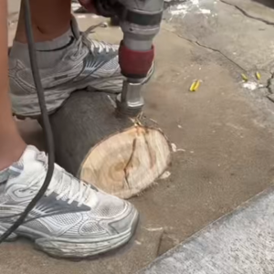 RhinVantage Heavy Duty Firewood Splitter Bit | SDS-Plus SDS-Max Anti Stuck | Wet Dry Wood (50mm)