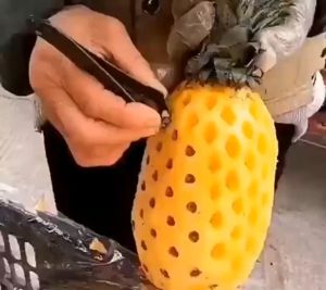 Penjepit mata nanas/capitan mata nanas/capit mata nanas/pinset buah