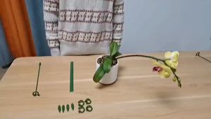【Ready Stock】🔥Phalaenopsis Fleshy Holder Plant Pole Supporter Flower Stand Bracket Garden Bonsai Shaped Support Stick  园艺支撑杆 爬藤支架