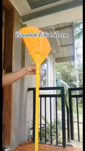 Extendable Plastic Handle Whisk Broom ( Walis Tambo)