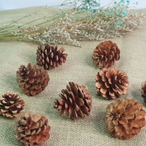 Quả Thông - Trái Thông Khô Trang Trí Giáng Sinh Noel - HiLo Candles