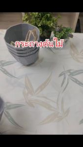 กระถางต้นไม้ขนาดเล็ก Meeda Garden สวย ใส่ต้นไม้แบบแขวน พลาสติก ขนาด 3.5x5