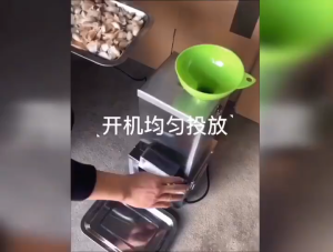HANA Garlic Peeler Peeling Machine Mesin Pengupas Bawang Putih (Ready Stock)