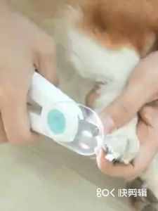【READY STOCK】Cat Dog Nail Clipper with LED Light Safety Pet Beauty Nail Trimmers Claw Clipper Scissors Animals Nail Cutter Avoid Excessive Cutting Tool Kit