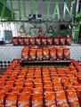 COFFEE PLUS INSTANT COFFEE POWDER WITH GINSENG  ZULIAN (40SACHET,84SACHET). 