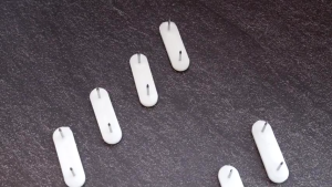100pcs Plastic Head Double Pins Double Pins Wood Furniture Leg Sliders Pad Nails