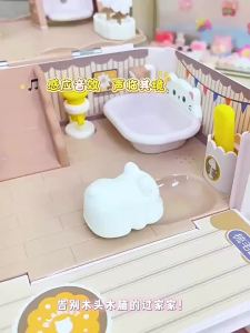 Educational Magnetic Cat Dollhouse for Girls