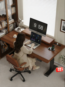 Elevating Desk Computer Stand Storage