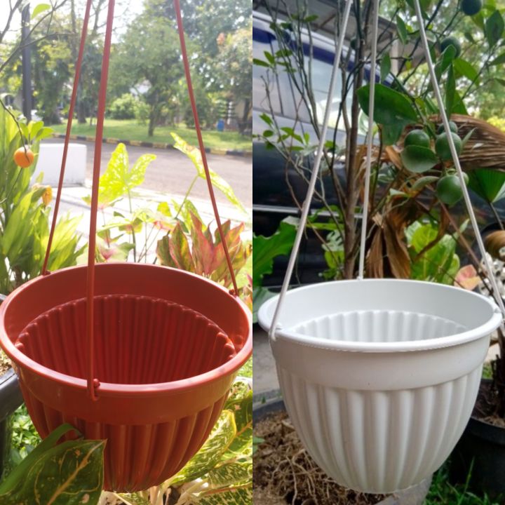pot gantung 20 | Lazada Indonesia