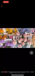 Kẽm nhung kẽm lông bó 95- 100 sợi  làm đồ handmade siêu xinh