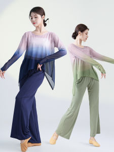 Modern Gradient Mesh Top Dance Costume Womens Practice Wear Classical Dance Outfit Ethereal Modern Dance Clothing by Dance Protagonist
