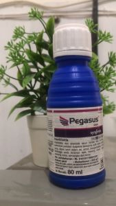 Paket Hemat Insektisida Regent Blue 50ml & Pegasus 80ml Obat Tanaman