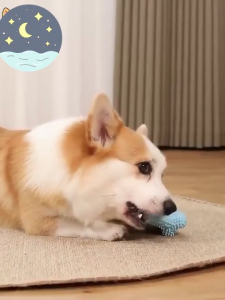 Dog Teething Chew Toy - Strong Chew Healthy Teeth Cleans Teeth Reduces Tartar Safe Non-toxic Rubber Durable Tough Resistant to Bite 100% Safe.